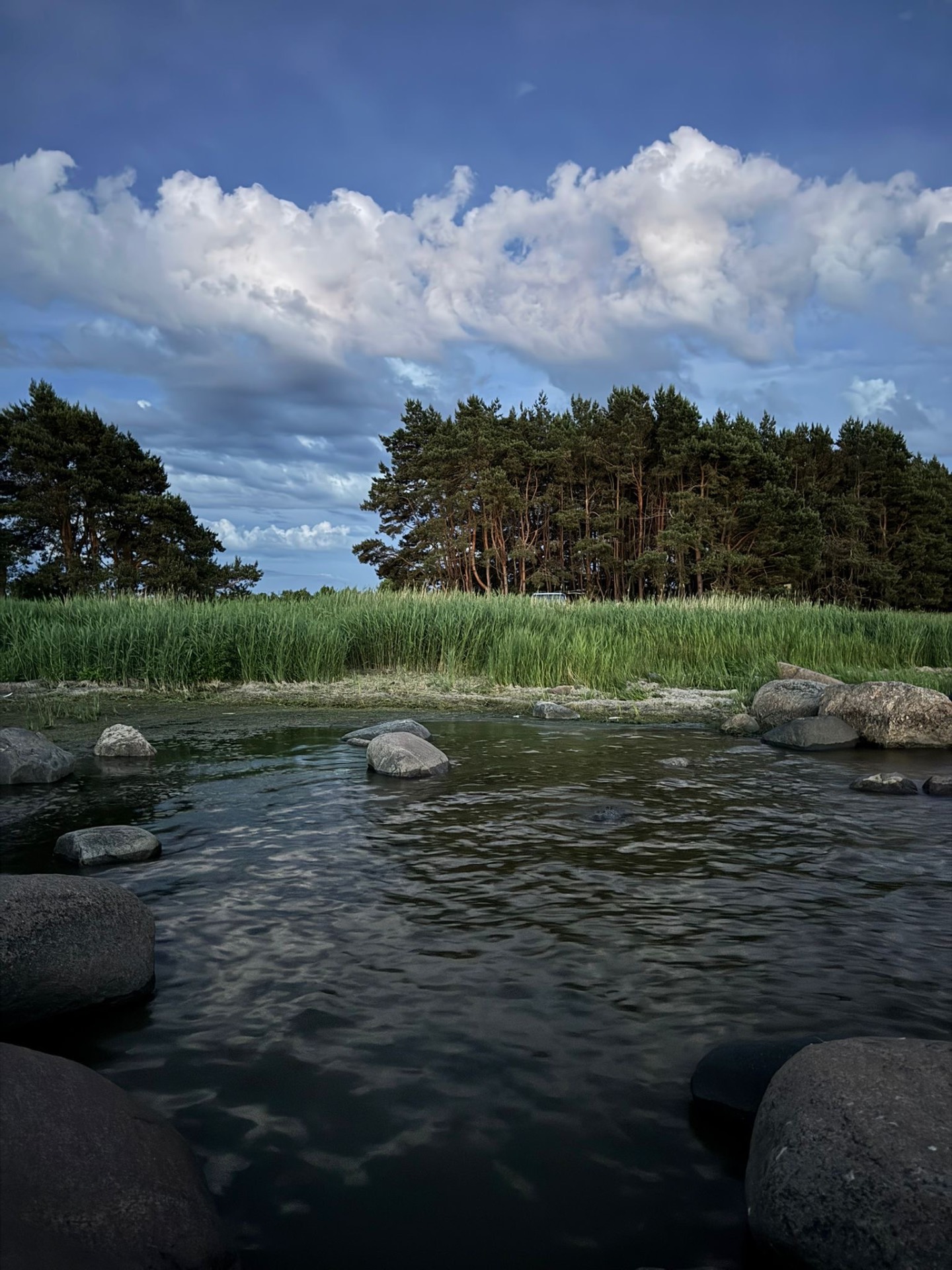 Pärnu lahe rannik kivide ja männimetsaga